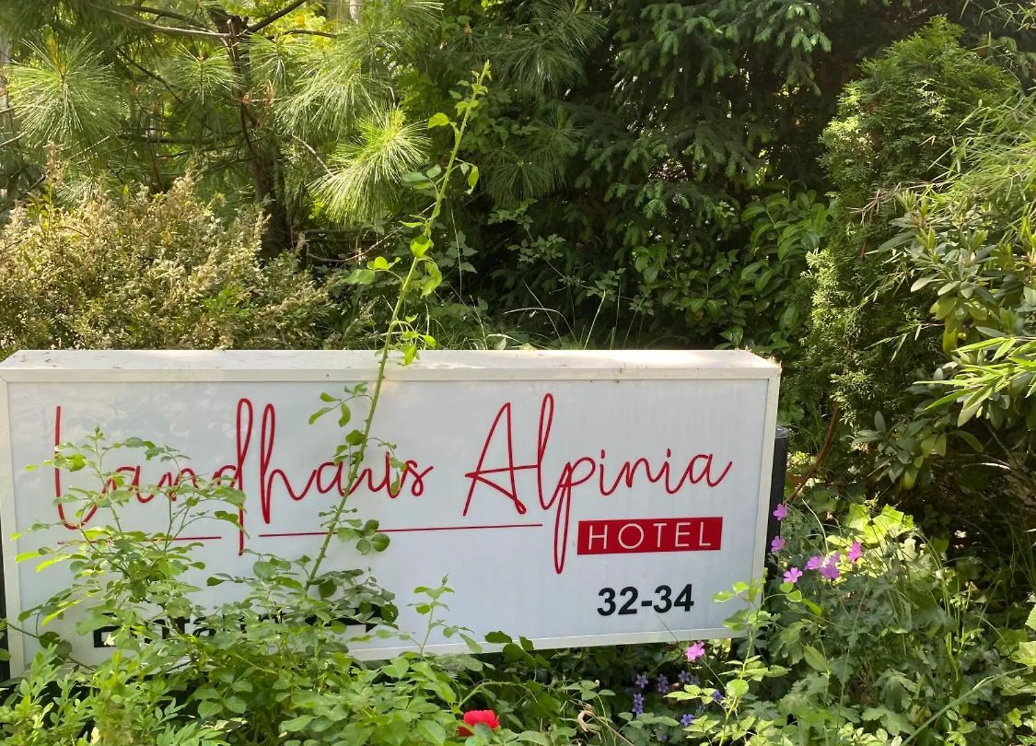 Hotel Landhaus Alpinia Berlín